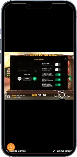 Wild West Gold Настройки
